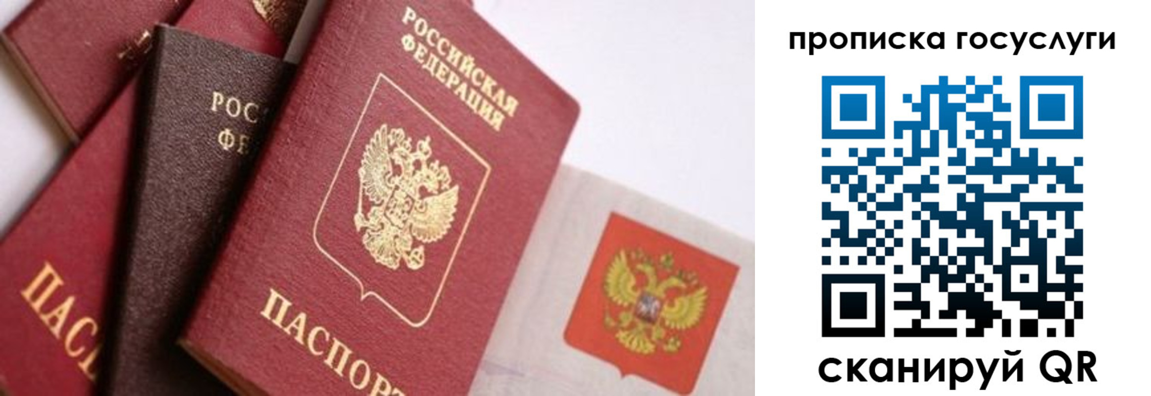 прописка законно в Петухово